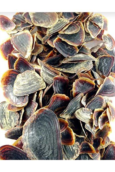 BAKHOOR (ظفر) ظفرة البخور 450 جرام