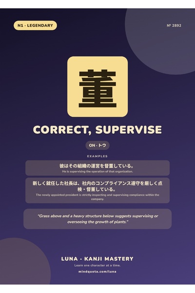 OEM Poster Carton 250g A4 Kanji Corect, Supervizare, Arta Caligrafie Japoneza