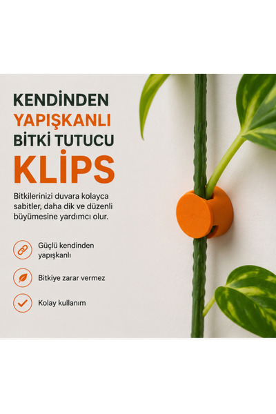 VAVENSA 6 Adet Kendinden Yapışkanlı Bitki Tutucu Klips Duvar Tipi Sarmaşık Sa...