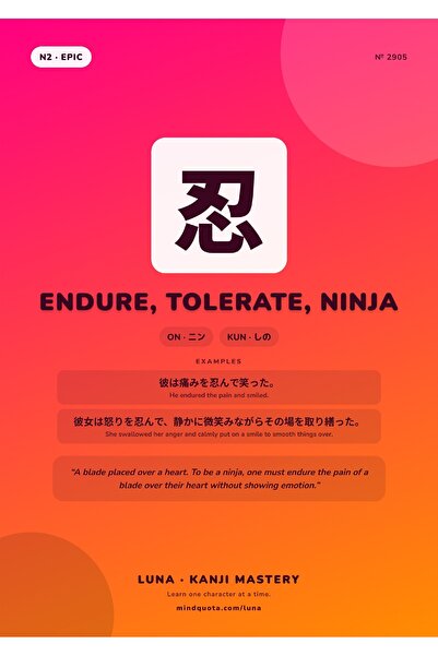 OEM Poster Carton 250g A4 Kanji Indura, Rezista, Ninja, Decor Japonez, Mat