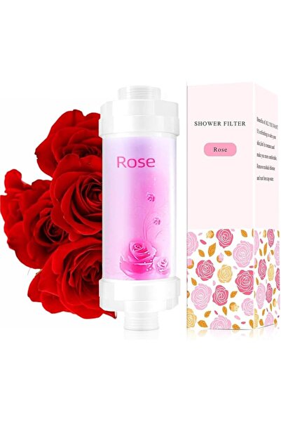 SKY TOUCH SKY-TOUCH Rose Vitamin C Shower Filter : Aromatherapy Hard Water So...