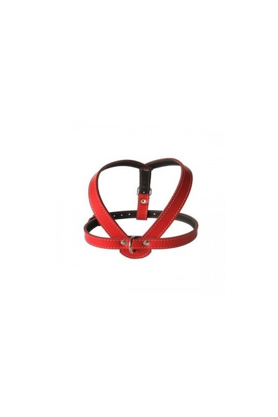 Exo Ham L1-L7, Piele, Roșu, Mărimea L6: 63-83 cm/25 mm
