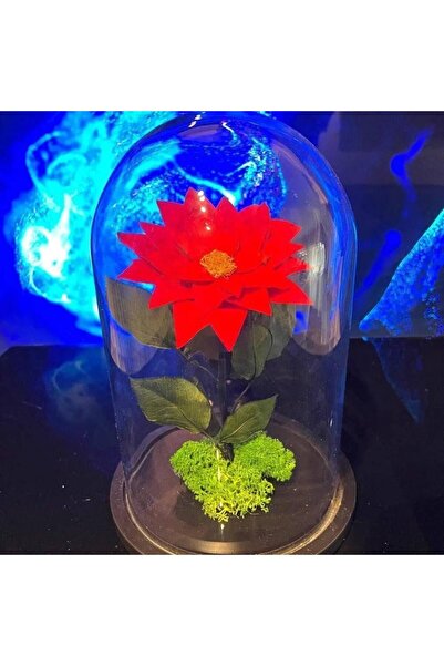 Trandafir Criogenat Poinsettia roșie înghețată Ø10 cm