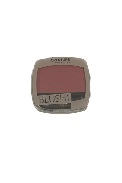 Generic Brand Blush Pink Tone 06 for Cheeks