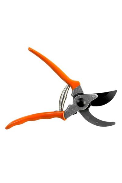 Solplant Foarfeca gradina, tip bypass, pentru vita de vie, 21 cm,