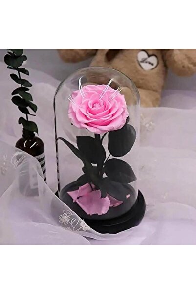 Trandafir Criogenat Trandafir criogenizat Bella Pink pentru mirese într-o cup...