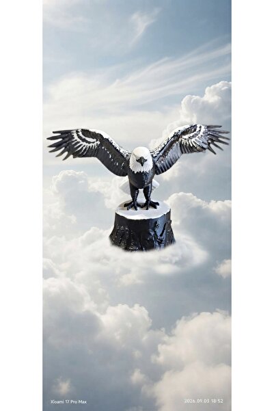 KARTAL SİYAH BEYAZ