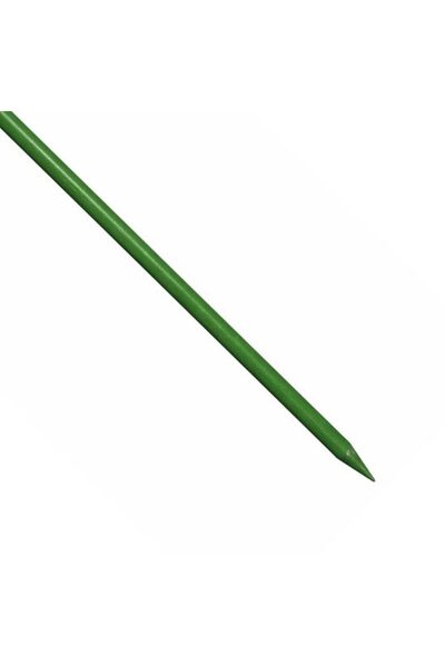 Solplant Suport/arac pentru plante, rosii, fibra de sticla, verde, 0.95x210 cm,