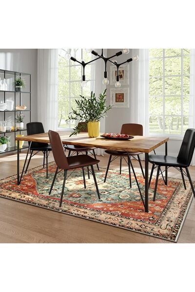 LUCKY Boho Tribal Washable Living Room Bedroom Rug, Oriental Soft Dining Room Rugs for Under Table,