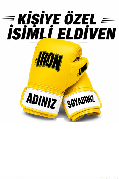 Theiron Boks, Kick Boks, Muay Thai, MMA ve Dövüş Sporları