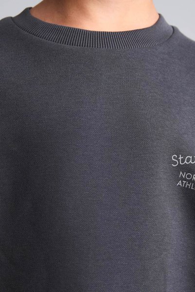 DeFacto Nakışlı Antrasit Erkek Çocuk Sweatshirt H9683A8/AR31