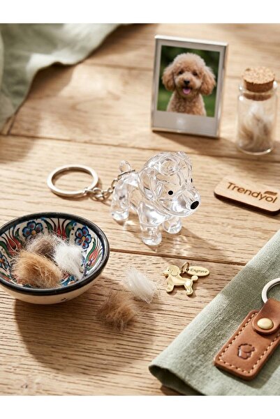 Golden Retriever Tüy Saklama Kapsülü