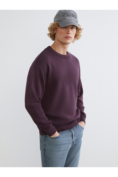 LC Waikiki Nevavm Farkıyla Xside Plum Knitwear Flat Oval Collar Men's Sweater