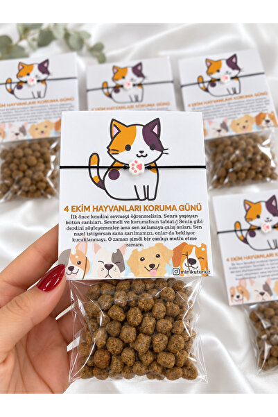 Tasarım 10 Adet Hayvanları Koruma Günü Karışık Renk Bileklik ve Kedi Maması