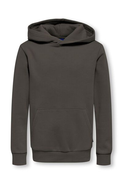 Only & Sons Kapuzenpullover OSJCERES Sweatshirt