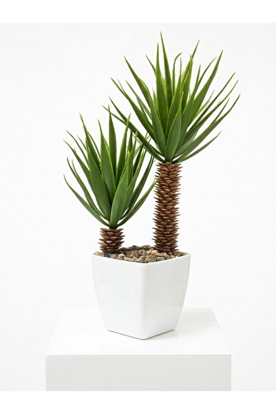 Çiçekmisin Beyaz Plastik Saksıda Iki Dal Yapay Kaktüs Aloevera