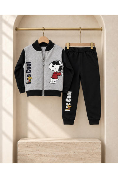 sally baby 2 Thread Seasonal Hooded, Zippered, Printed Bottom and Top Set, Tracksuit Set