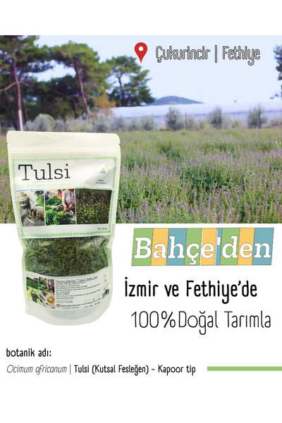 Haven Herbs & Blends Tulsi Tea 50Gr |   Kapoor |