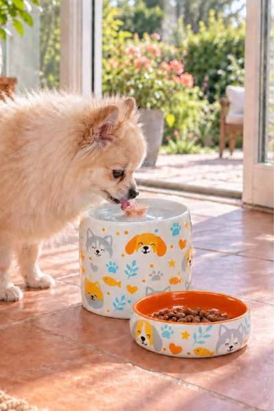 Pawicci Kedi Köpek Su Pınarı ve Mama Su Kabı 2'li Set Porselen Otomatik Filtr...