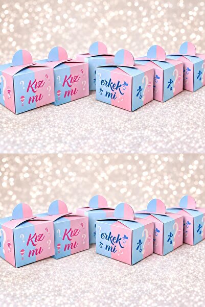 Patladı Gitti Gender Learning Delight Box – Is It a Girl or a Boy? (25 Pieces)