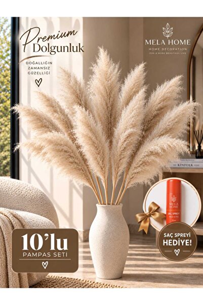 MELA XXL 10lu Pofuduk Kabarık Büyük Doğal Kurutulmuş Pampas Bohem Design I Sa...