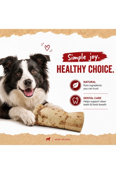 Petrix Small Cheek Roll Peanut Flavour Dog Chew Treat (6 Inch, 2 Pcs)