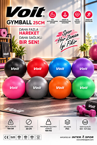 Voit 25 cm Lüx Mini Pilates Topu Denge Yoga Egzersiz Topu Gymball