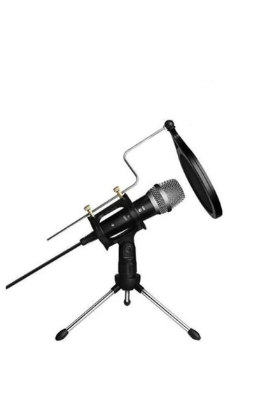 Ruan Microfon Profesional de inregistrare vocala si Karaoke pentru Studio WG ...