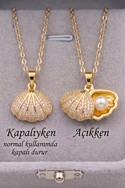 Takı Dükkanı Sea Shell Pearl Detailed Zircon Stone Stainless Steel Necklace G...