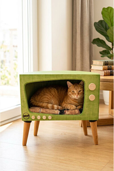 huncar El Yapımı Fıstık Yeşili Retro Kedi Evi Ahşap TV Tasarımlı Dekoratif Ke...