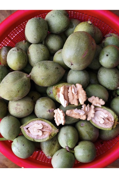 Genel Markalar Taze yeşil kabuklu ceviz (1kg)
