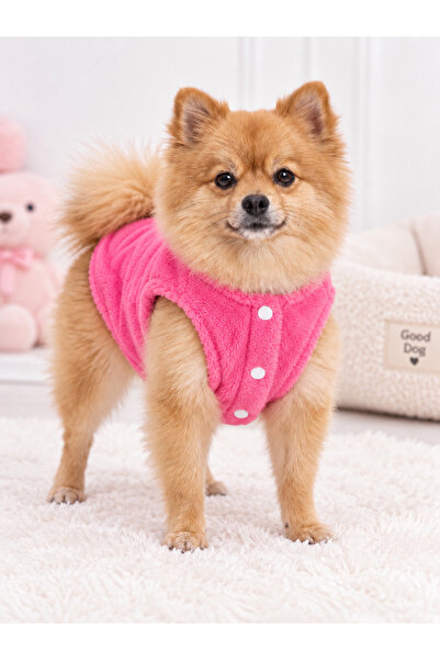 Fuşya Welsoft Ayıcık Desenli Küçük Irk Köpek Montu – Yumuşak Peluş Köpek Yeleği