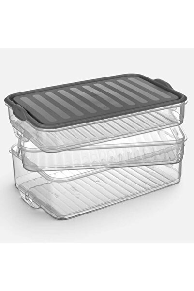 OEM Cutie de prânz cu 3 compartimente, Capacitate totală 1200 ml, Gri, Recipi...