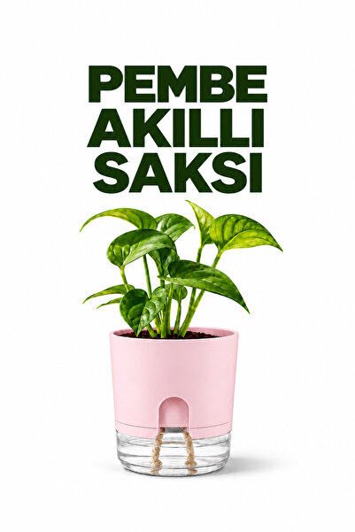 ByKurt Akıllı Saksı Kendi Kendini Sulayan Fitilli Modern Dekoratif Pembe Saksı 2 Litre