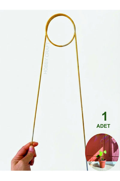 shop Bitki Destek Çubuğu Kancalı İğne Model | 1 Adet * 65 CM - Metalik Dokulu...