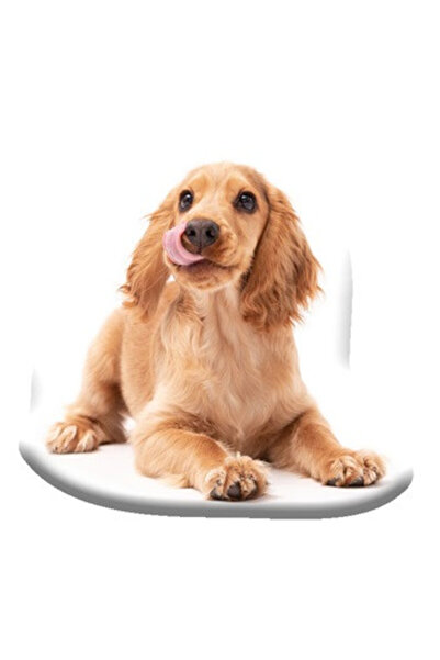 Javoli Dog Spaniel Decorative Cushion 40x40 cm Velour