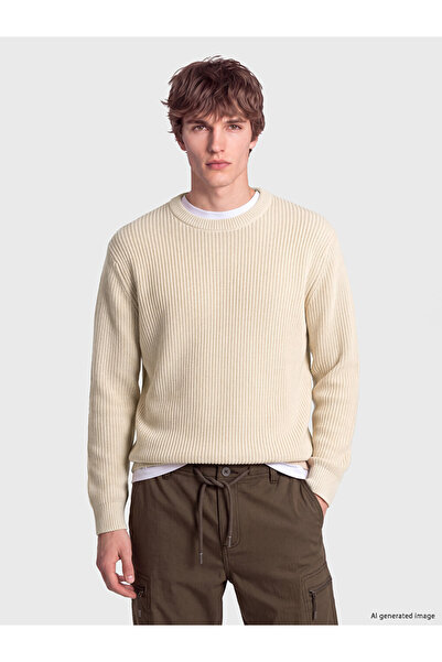 LC Waikiki Vizyon New Season Ecru Crew Neck Men's Knitwear Sweater