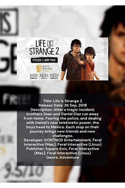 OEM Ινφογραφική Αφίσα Life Is Strange 2, Βιντεοπαιχνίδι, Χαρτόνι 250γρ, Α4