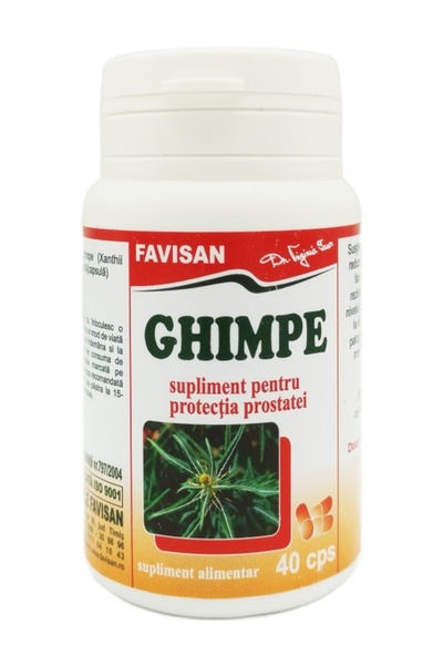 Favisan Extract de Ghimpe 300mg 40 capsule