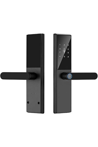 EACAM Smart Door Lock Keyless Entry Door Lock Handle with Cards and Keys Biom...