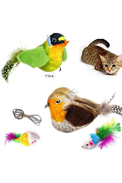 SLE Interactive Cat Toys with Real Electronic Bird Chirping Sound for Indoor ...