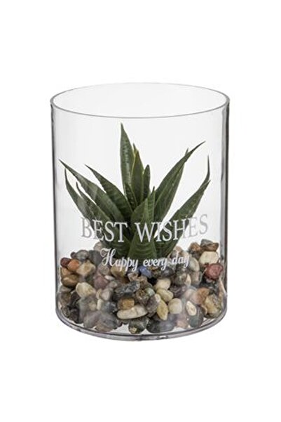 CBD CORAL BEST DEALS Vaza din Plastic Transparent cu Planta Verde Ø8x10cm
