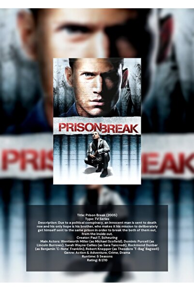 OEM Αφίσα Ινφογραφικού Παραστατικού Prison Break, Συλλογή Σειράς, Χαρτόνι 250...