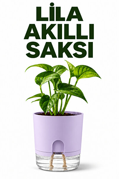 ByKurt Akıllı Saksı Kendi Kendini Sulayan Fitilli Modern Dekoratif Lila Saksı 2 Litre