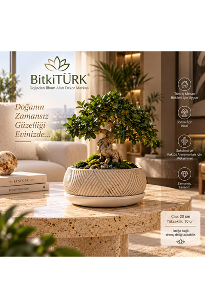 BitkiTÜRK Beton Bonsai Saksısı ve Altlık Seti | Dekoratif İç Mekan Saksısı, S...