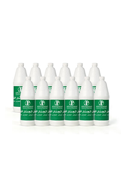 Generic Brand Ghasar Fragrant Deodorizer 1L