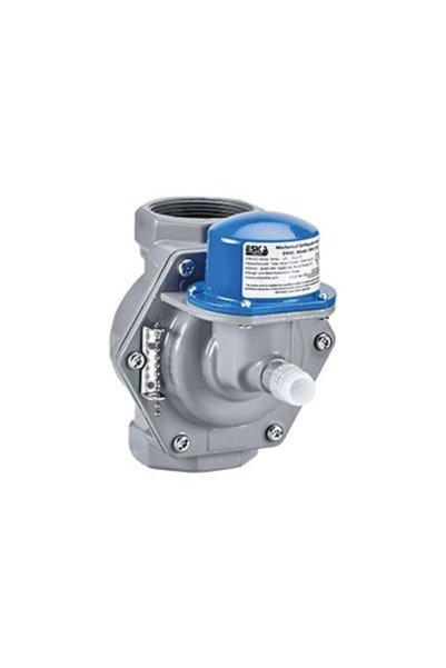 Bursay 1" Mekanik Deprem Vanası DN25 Eska