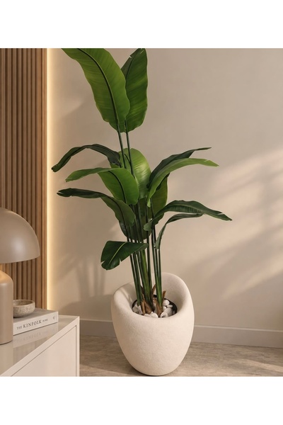 Brosch Design 50 cm beton görünümlü saksı