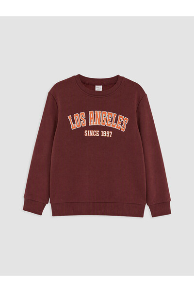 LC Waikiki Rmz Gi̇yi̇m Farkiyla Printed Thick Boys' Sweatshirt