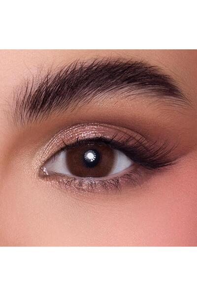 Generic Brand Anastasia Daily Lenses Dorado V2